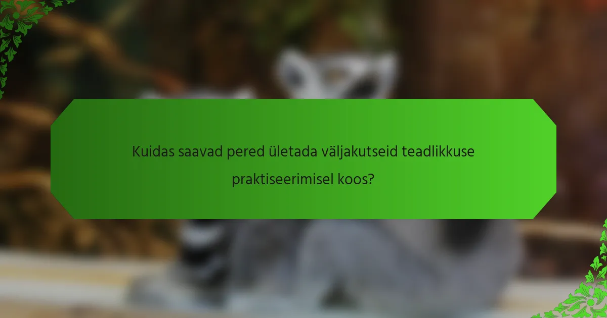 Kuidas saavad pered ületada väljakutseid teadlikkuse praktiseerimisel koos?