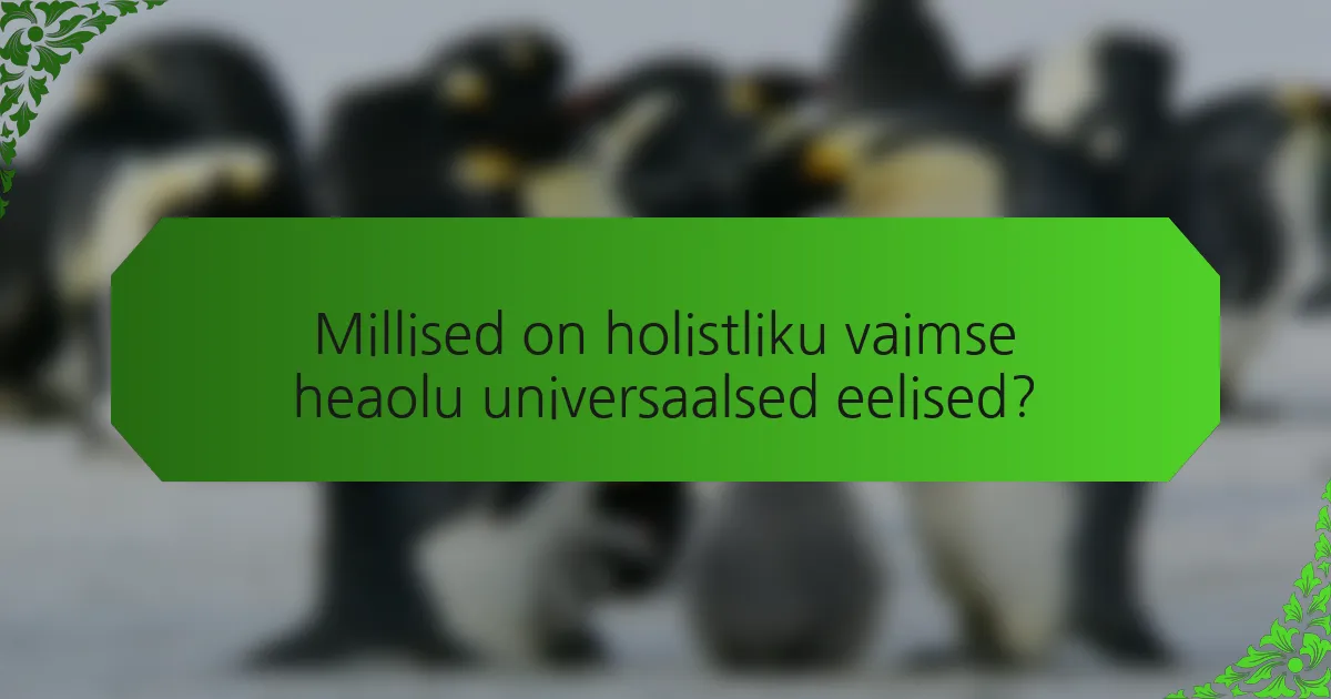 Millised on holistliku vaimse heaolu universaalsed eelised?