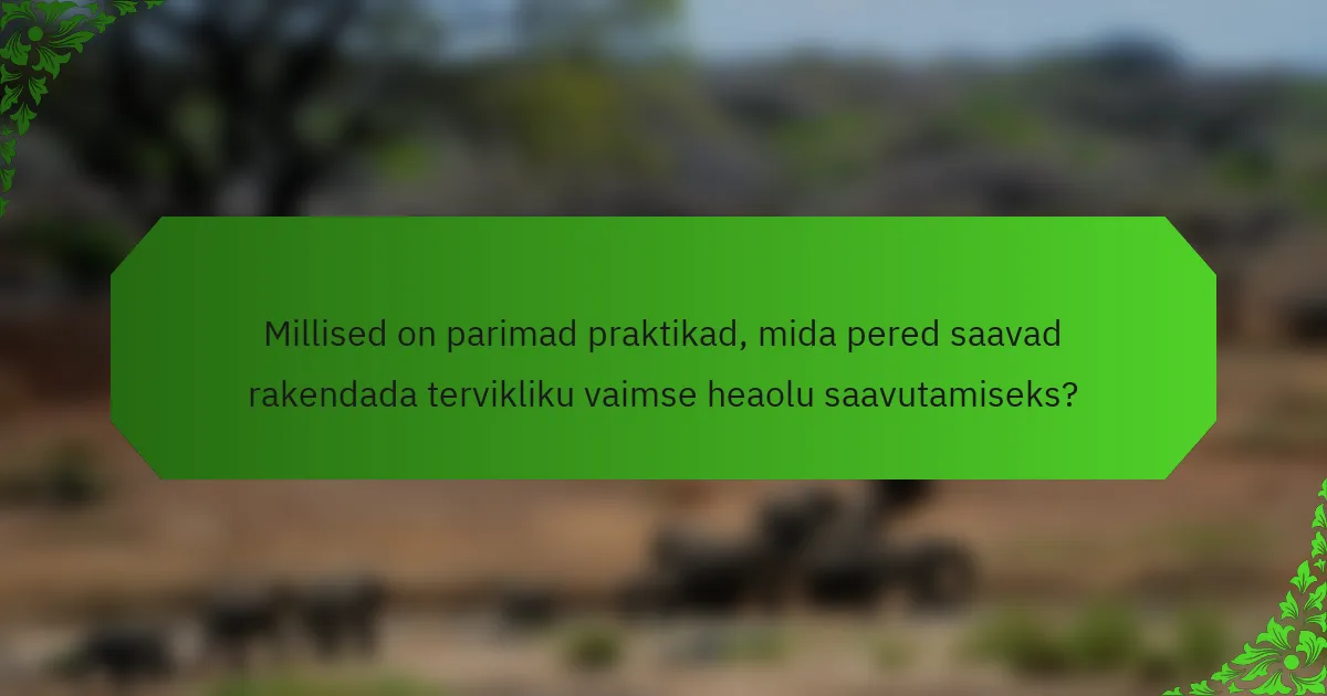 Millised on parimad praktikad, mida pered saavad rakendada tervikliku vaimse heaolu saavutamiseks?